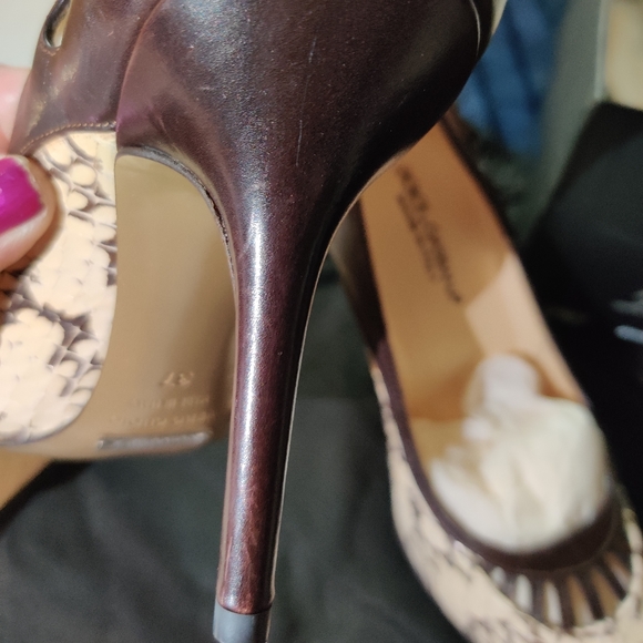 Dolce & Gabbana Snake and Leather Pumps💕 - Picture 5 of 8
